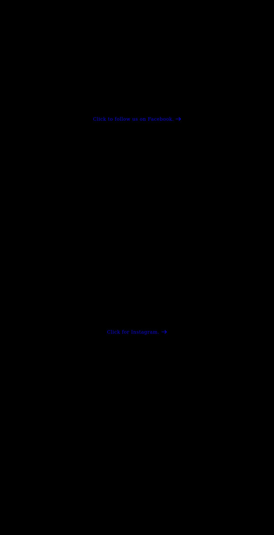 shalinibazaar.com shopify website screenshot