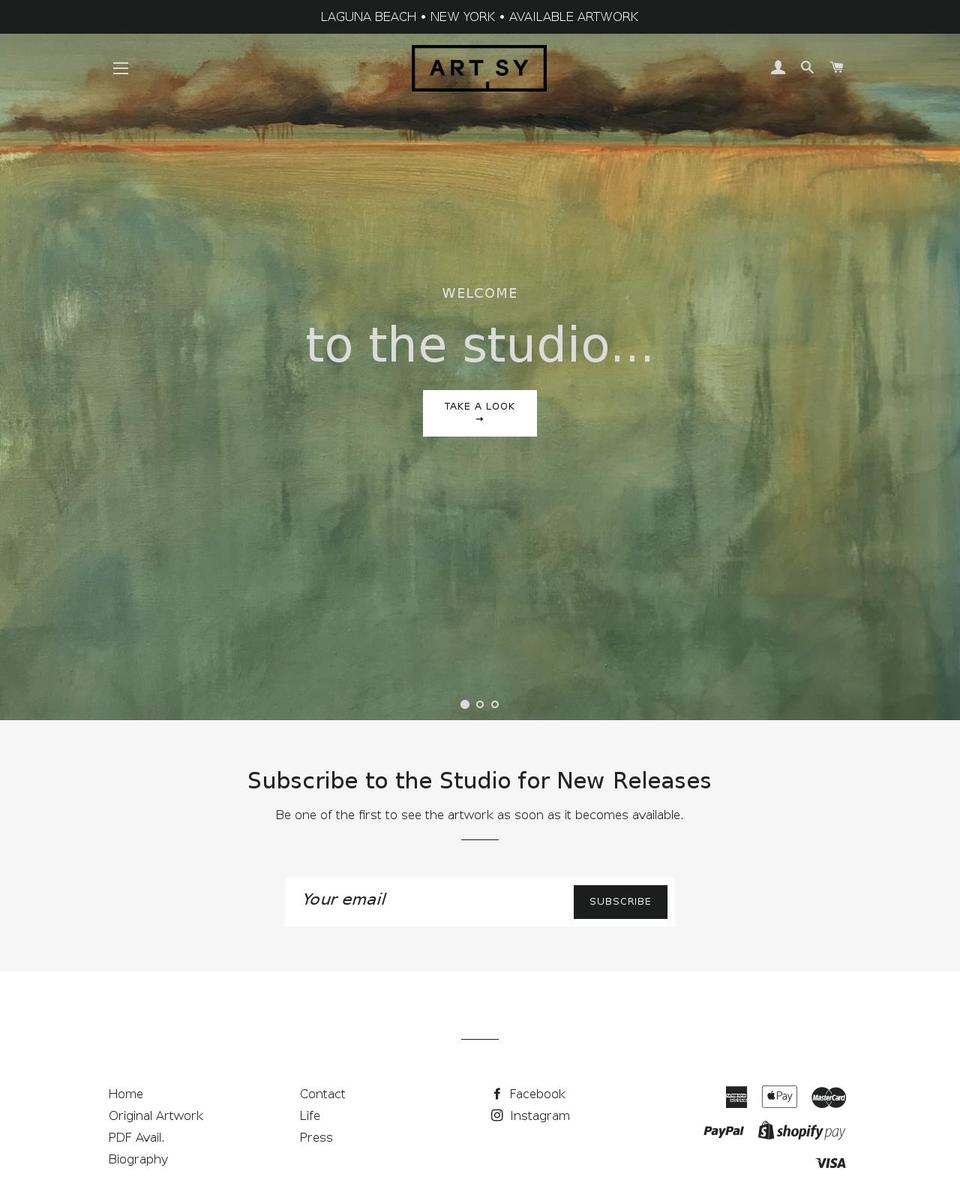 shanetownley.com shopify website screenshot