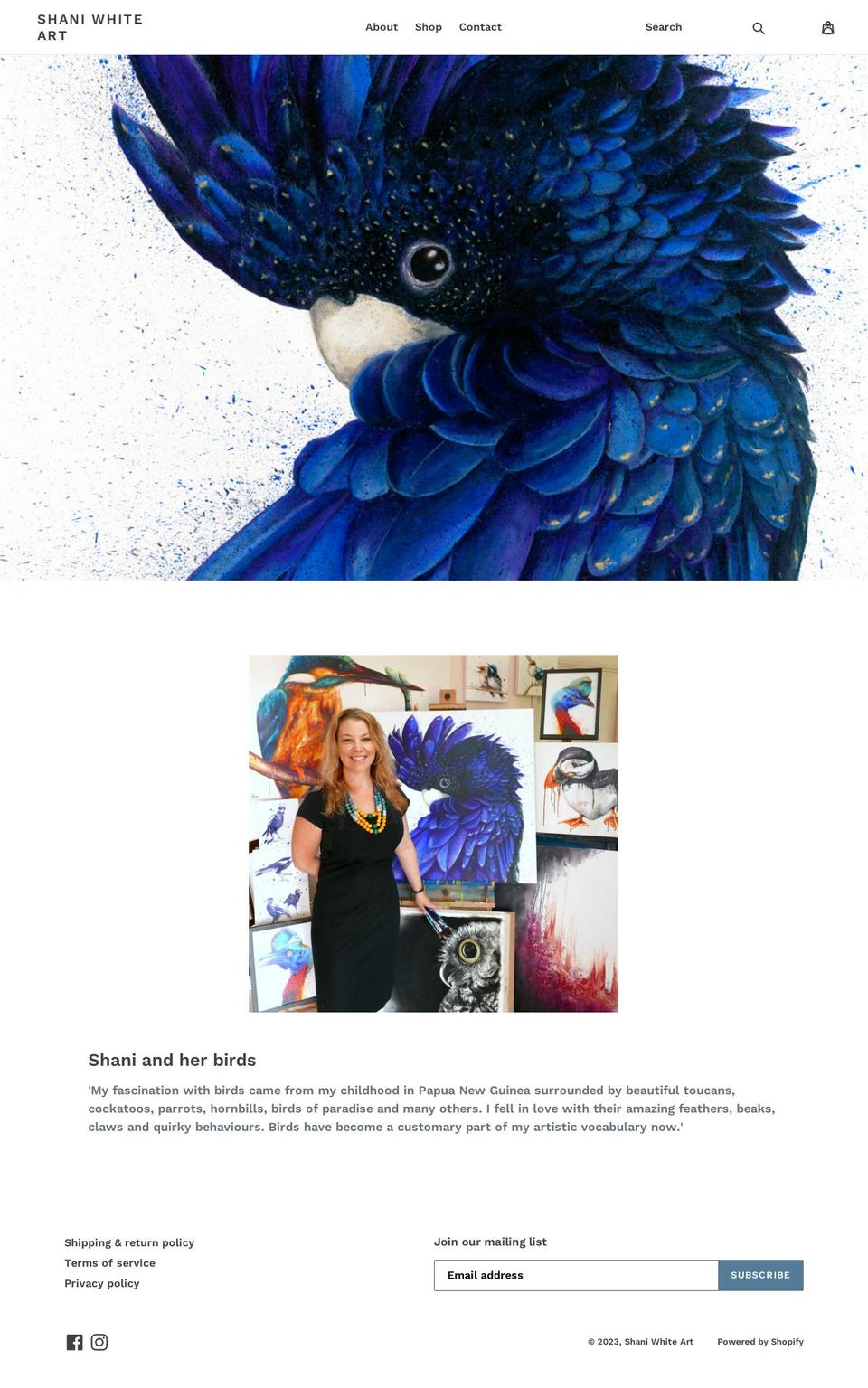 shaniwhiteart.com — Shopify storefront screenshot