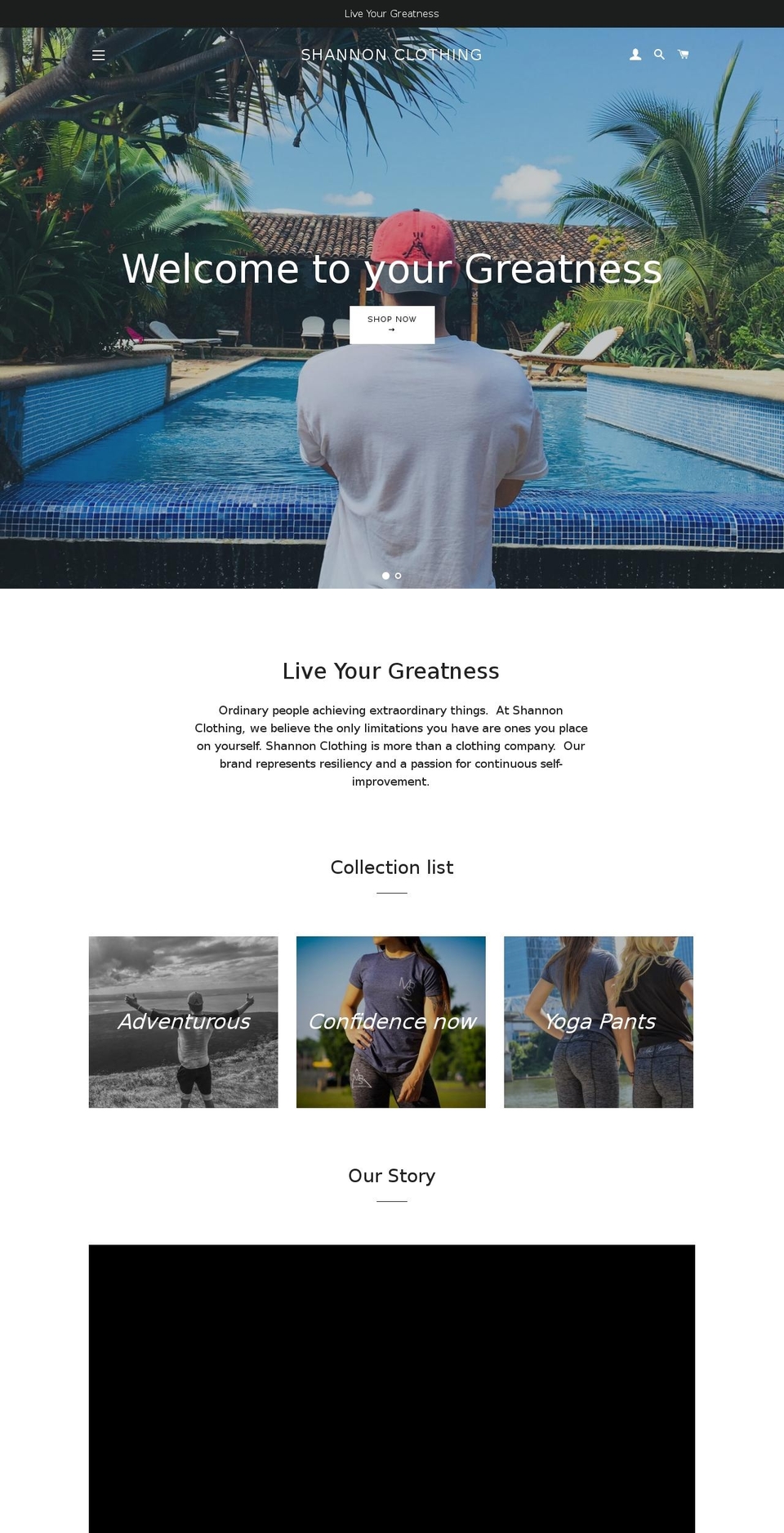 shannonclothing.com — Shopify storefront screenshot