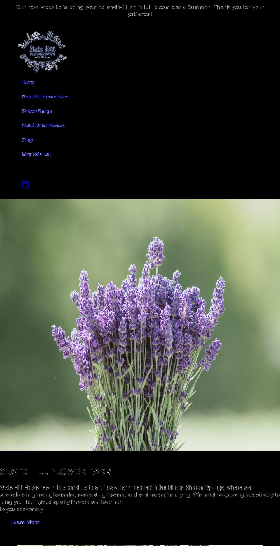sharonsprigs.com shopify website screenshot