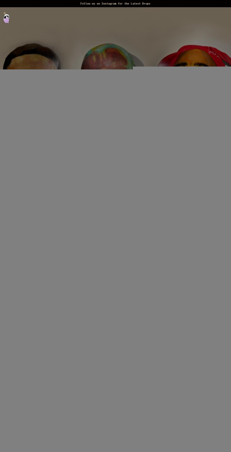 shaycolorway.com shopify website screenshot