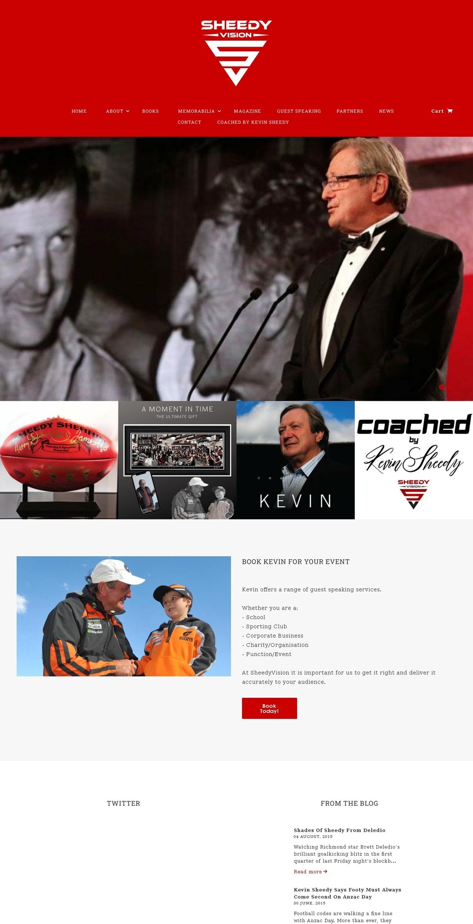 sheedyvision.com.au shopify website screenshot