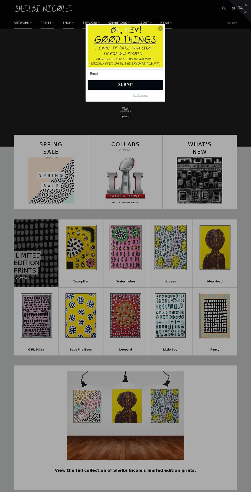 shelbinicole.com shopify website screenshot