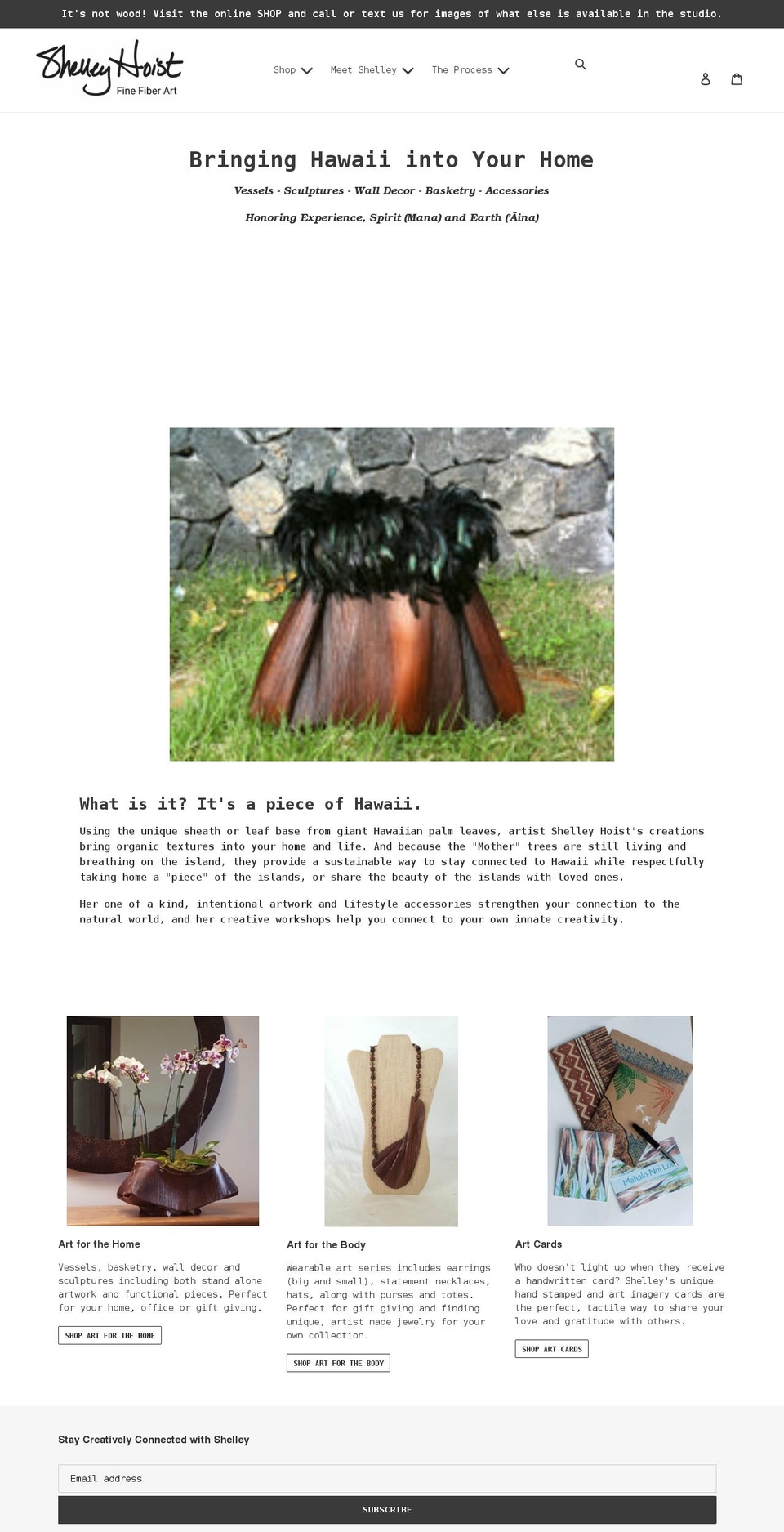shelleyhoist.com shopify website screenshot