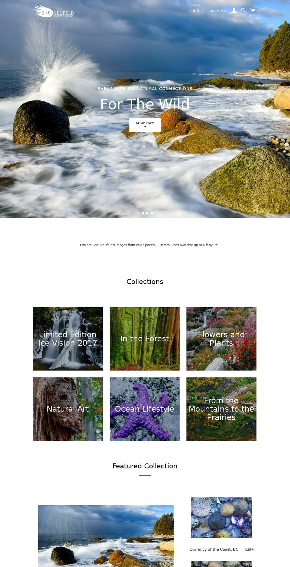 shelneufeld.com — Shopify storefront screenshot