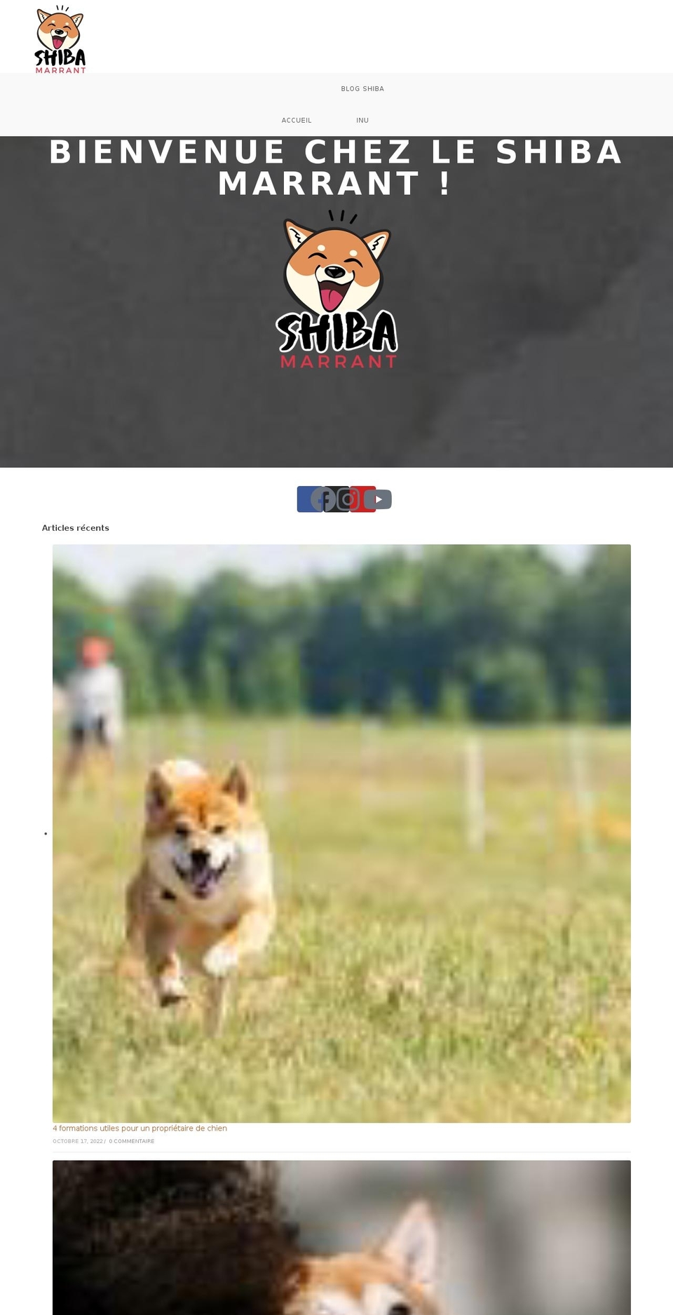 speedfly-1-11 Shopify theme site example shiba-marrant.com