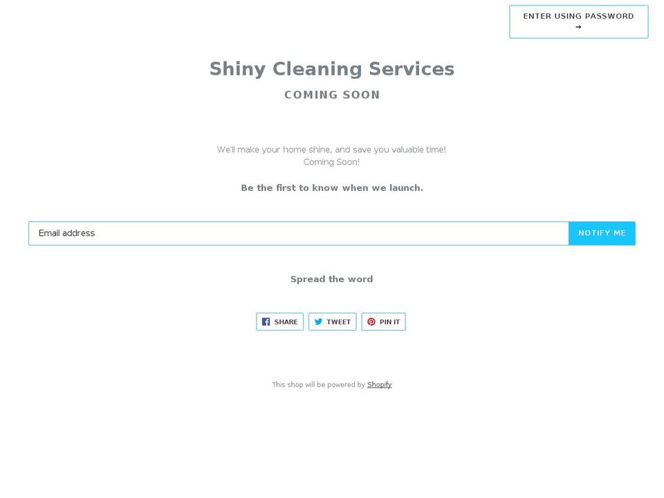 shiny.nyc shopify website screenshot