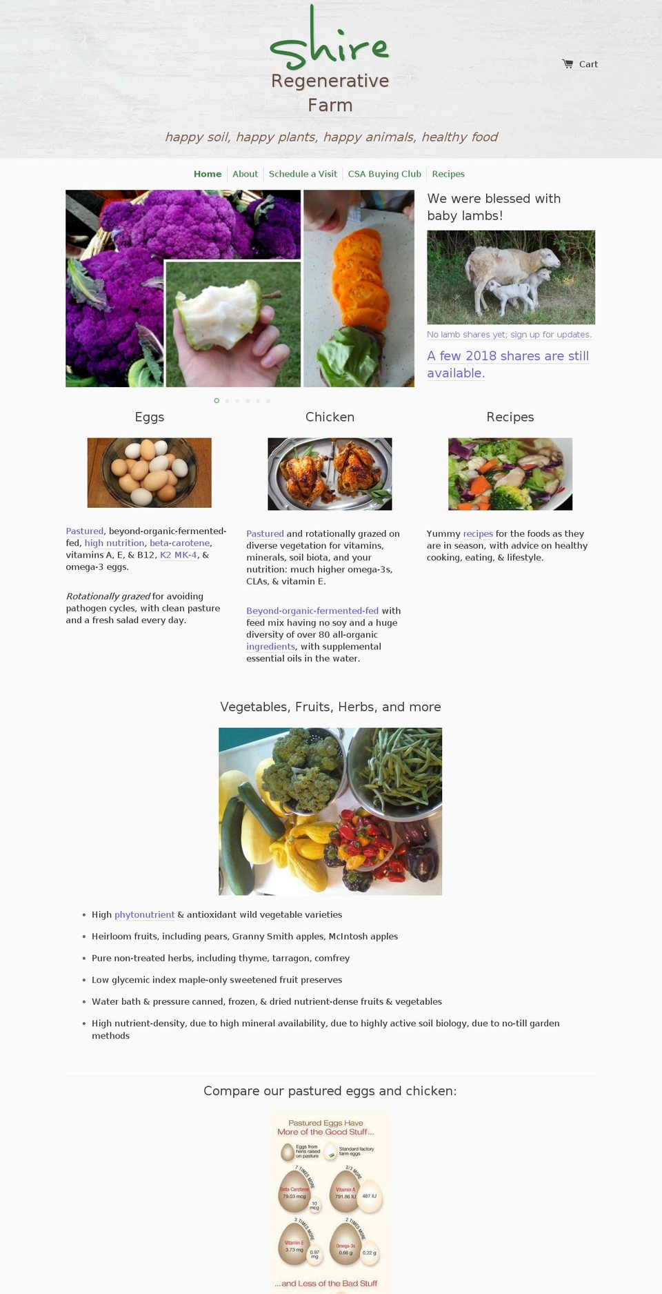 shireregenerative.org shopify website screenshot
