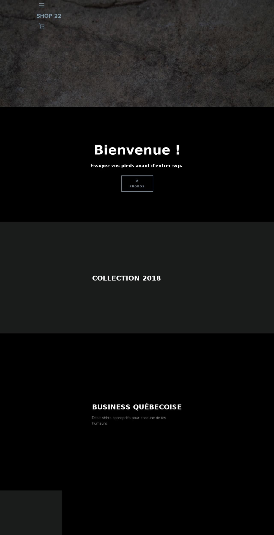 shop-22.com — Shopify storefront screenshot