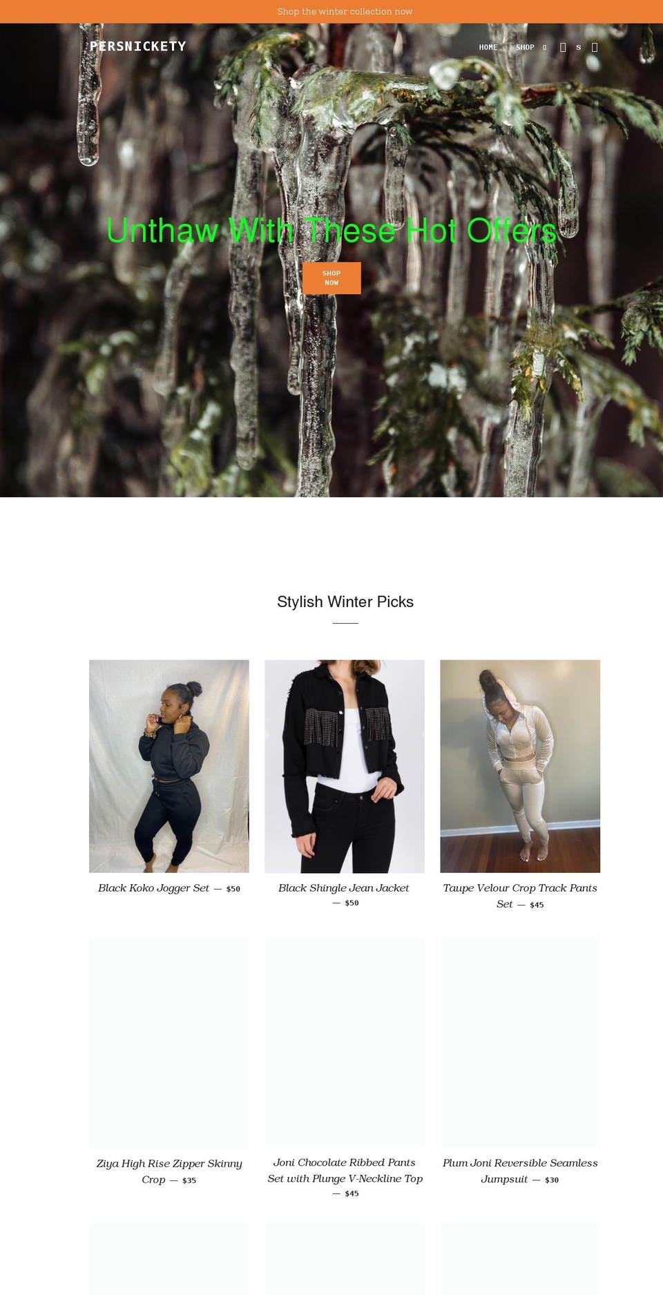 shop-persnickety.com shopify website screenshot