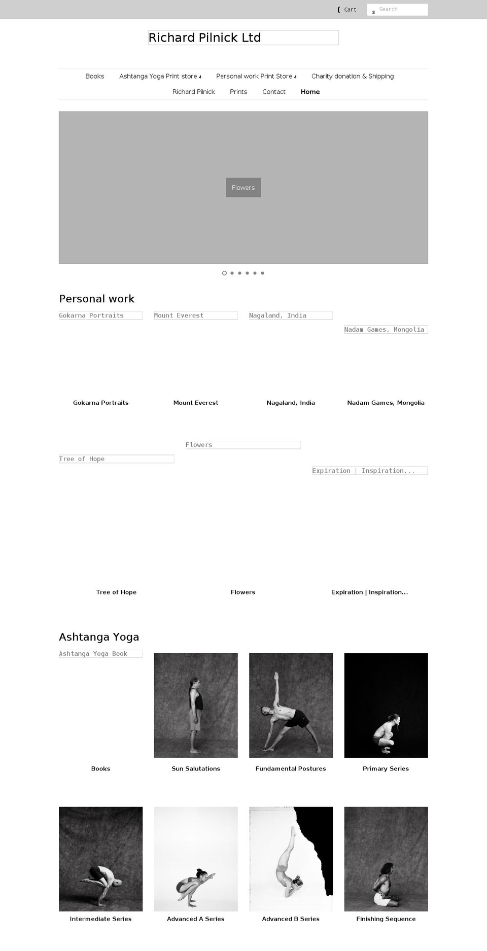 shop-richardpilnick.com shopify website screenshot