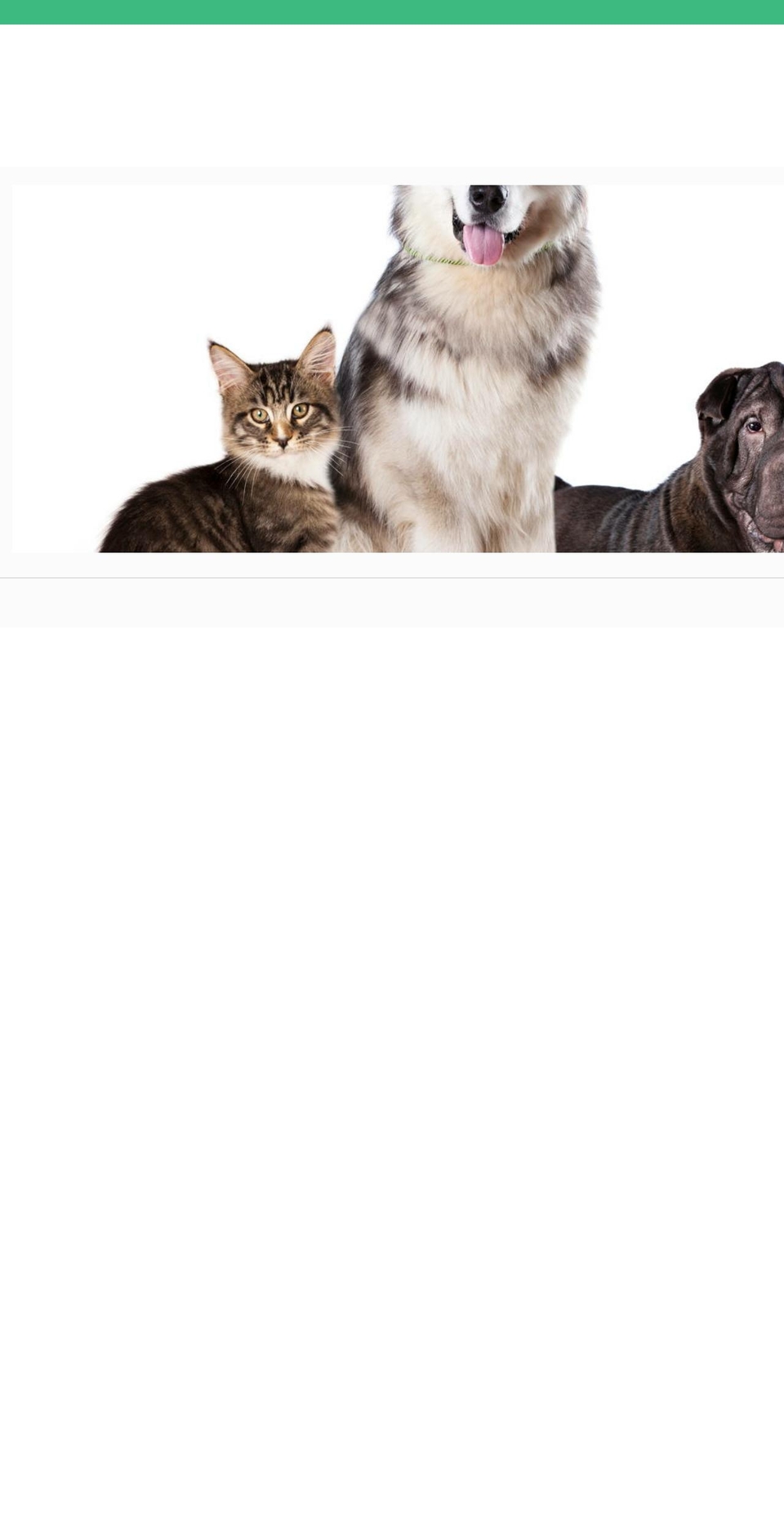 shop.waggles.com shopify website screenshot