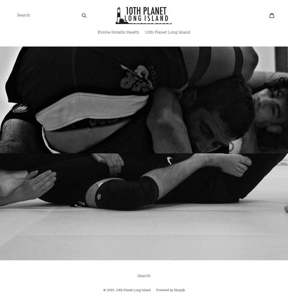 shop10plongisland.com shopify website screenshot