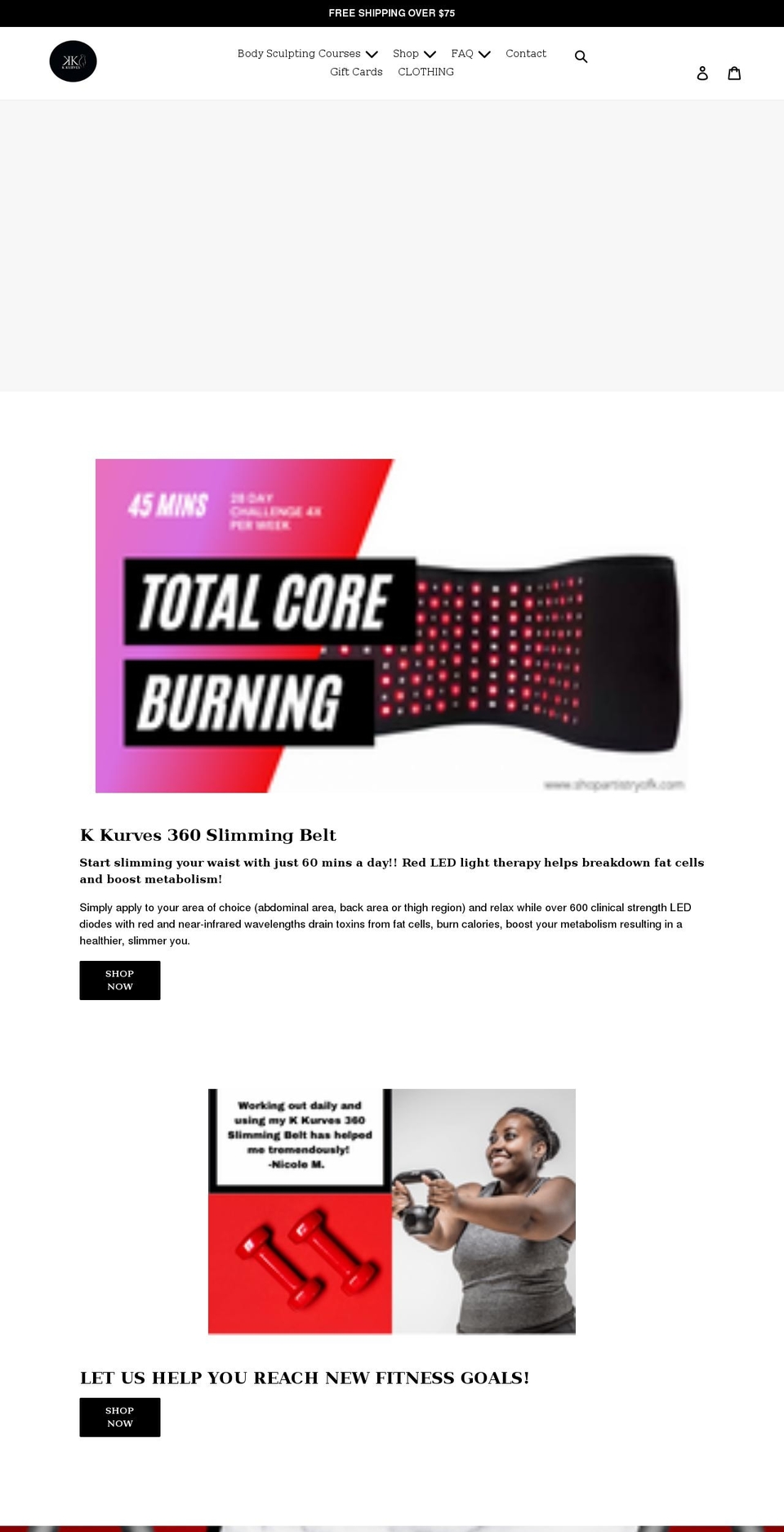 shopartistryofk.com shopify website screenshot