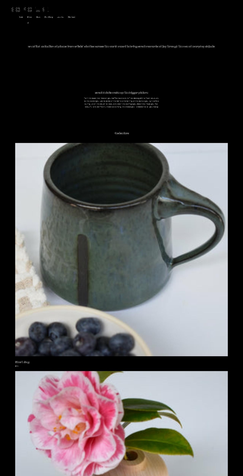 shopbigpicture.com shopify website screenshot