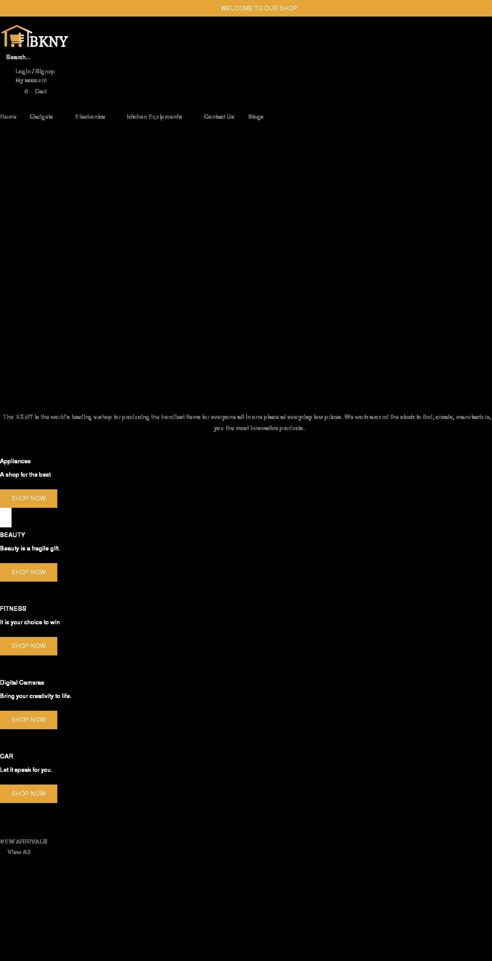 shopbkny.com shopify website screenshot