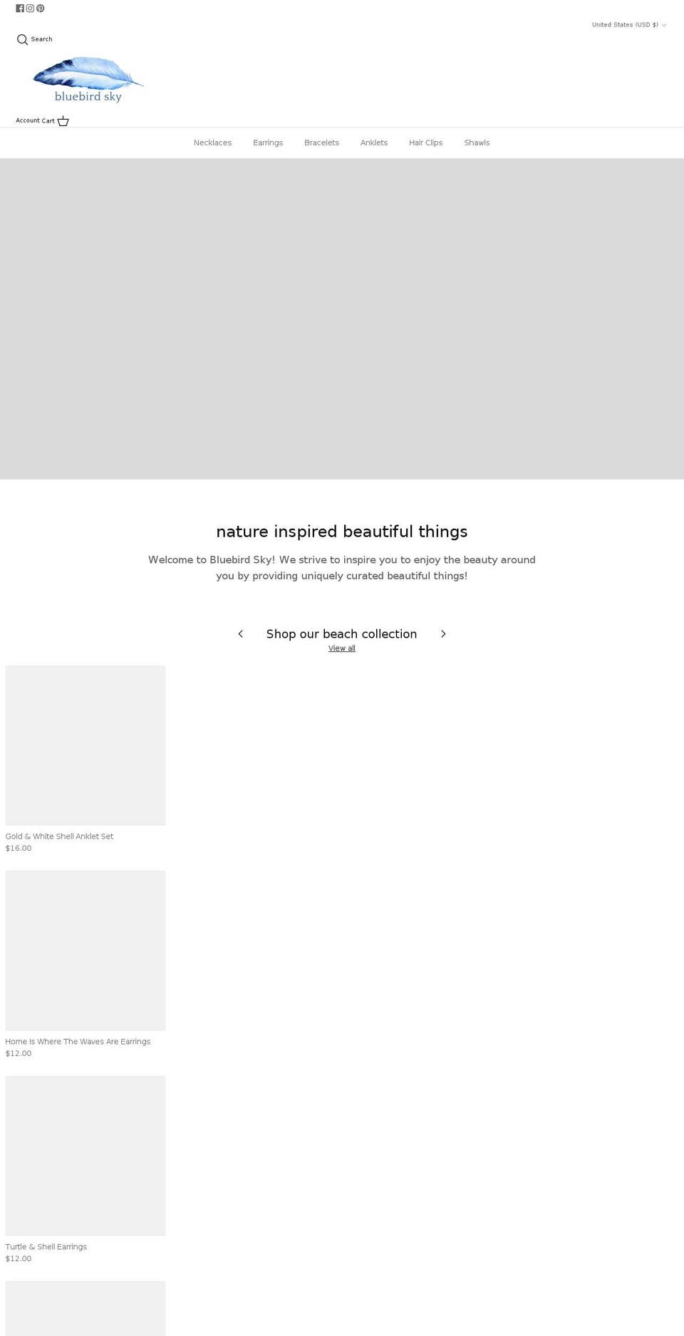 shopbluebirdsky.com shopify website screenshot