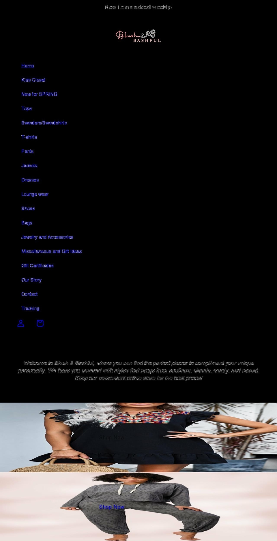 shopblushandbashful.com shopify website screenshot