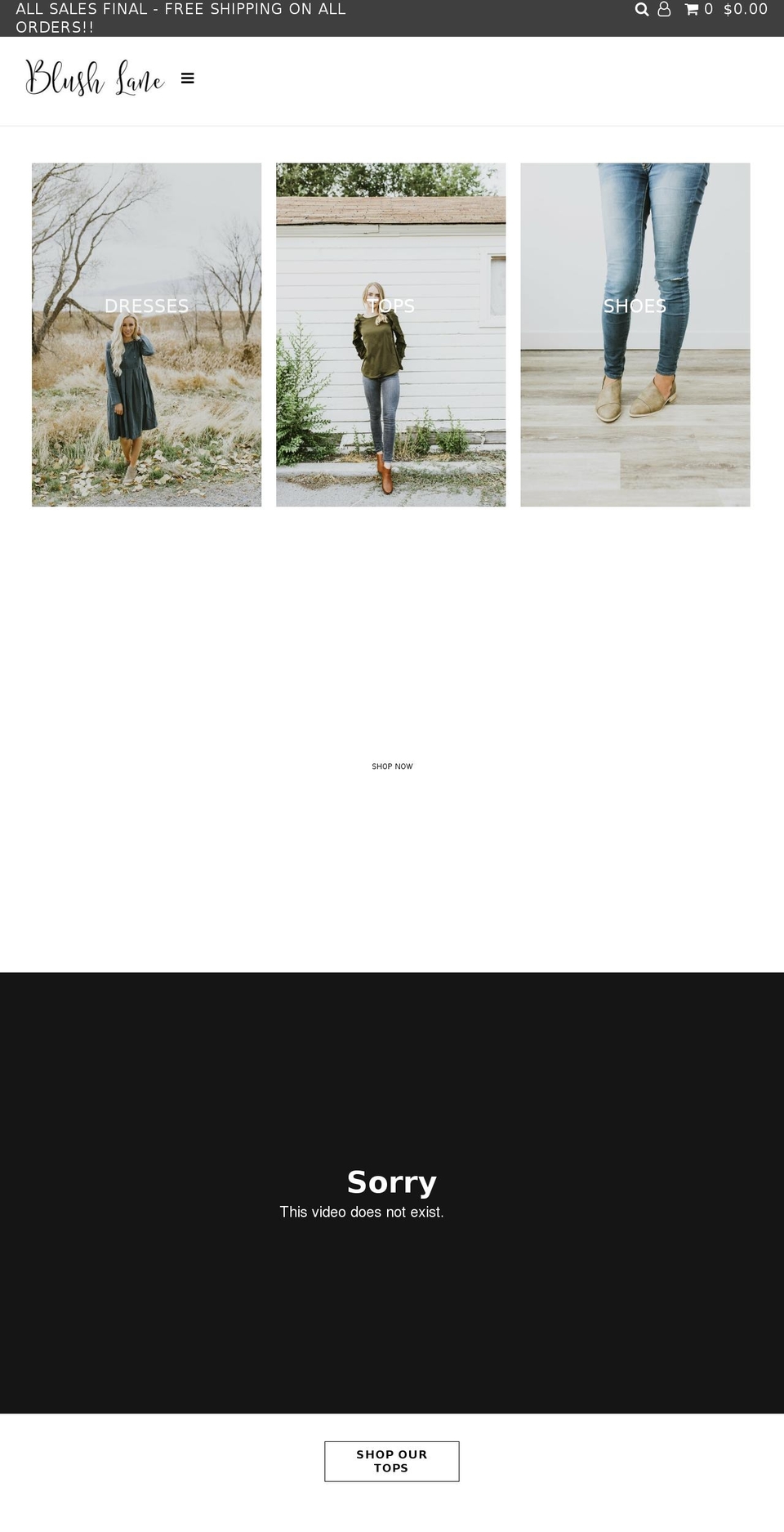 shopblushlane.com shopify website screenshot