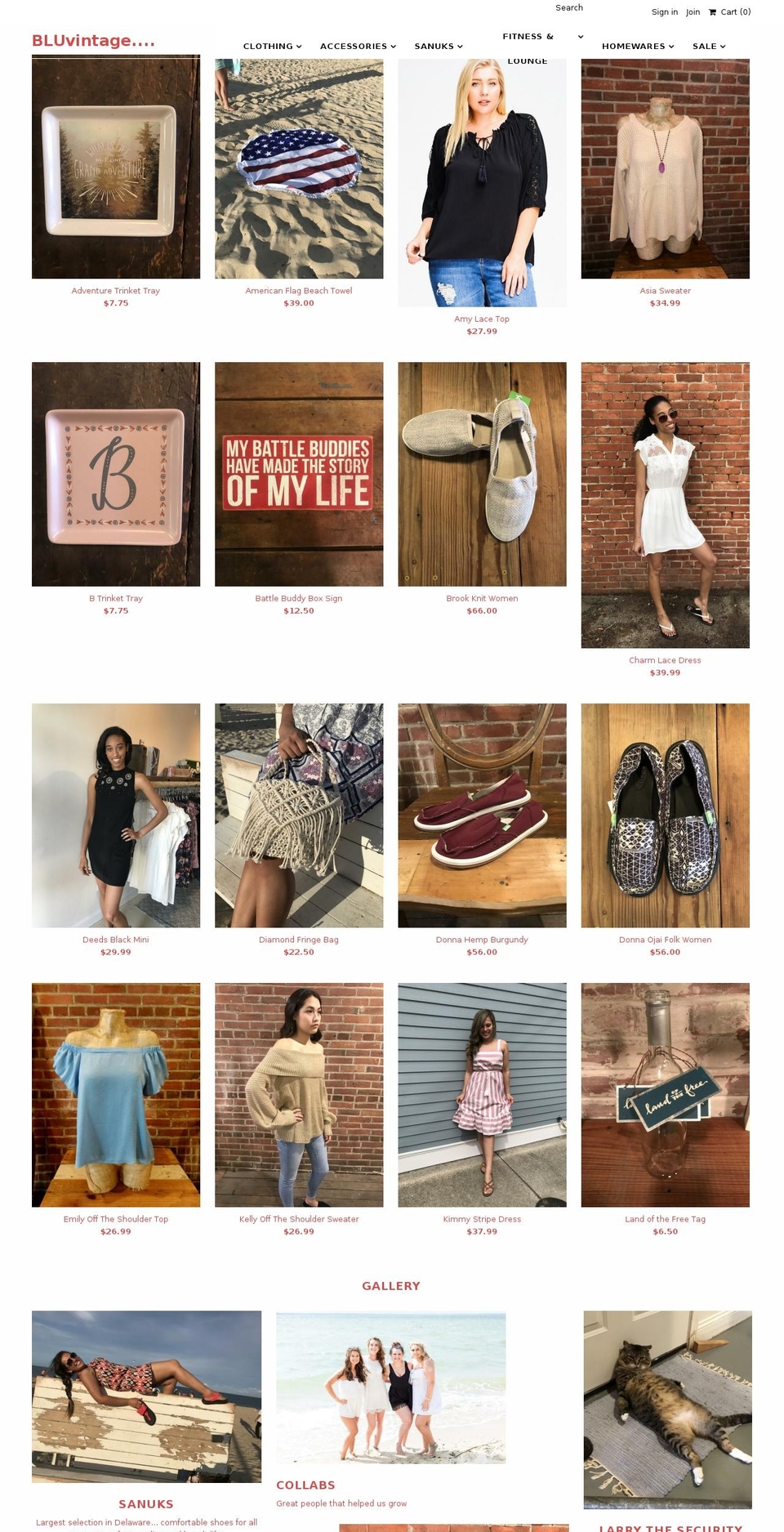 shopbluvintage.com shopify website screenshot