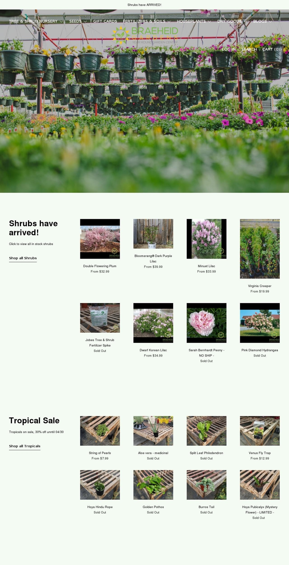 shopbraeheid.com — Shopify storefront screenshot