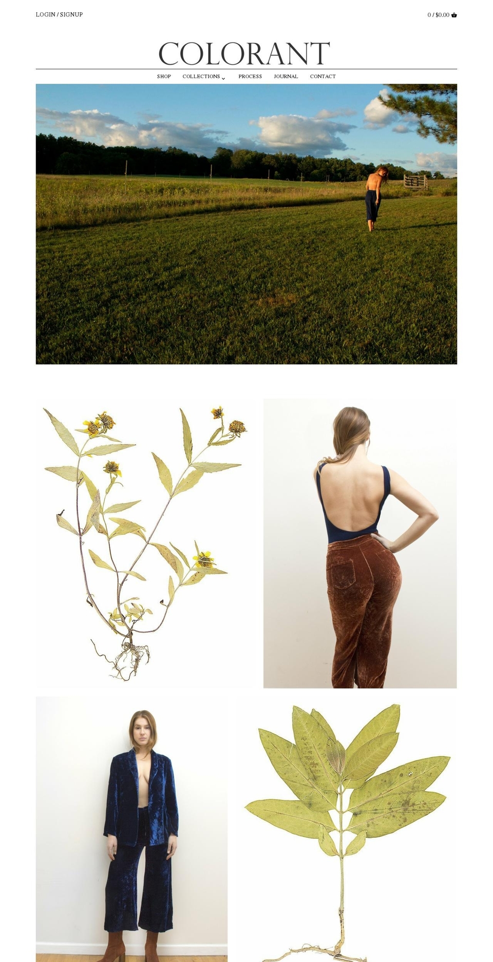 shopcolorant.com shopify website screenshot
