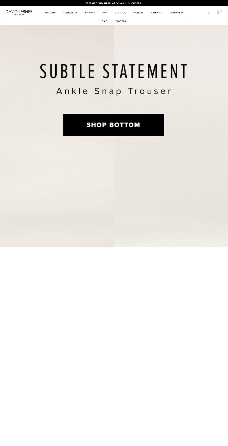 shopdavidlerner.com shopify website screenshot