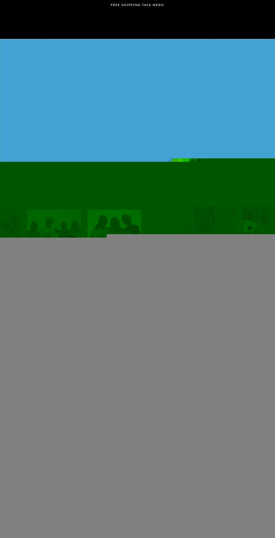 shopdiscountretailstore.com shopify website screenshot