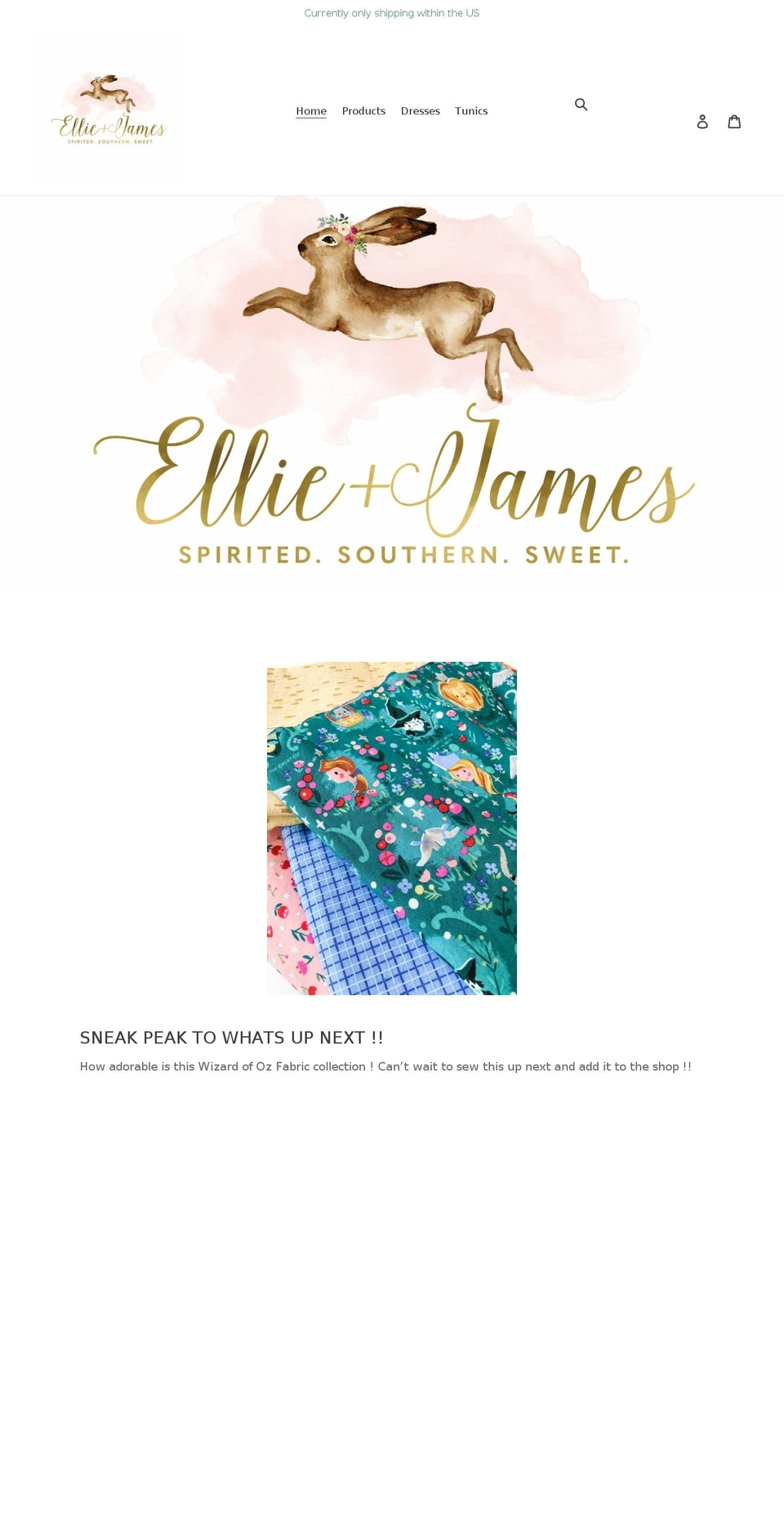 shopelliejames.com shopify website screenshot
