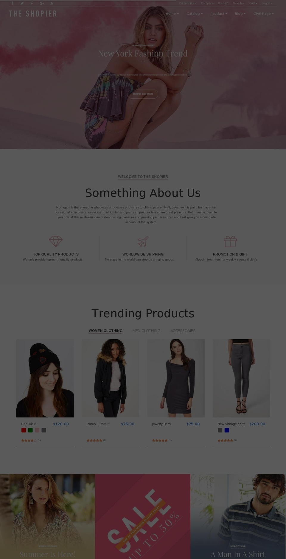 shopier-demo-2.myshopify.com shopify website screenshot