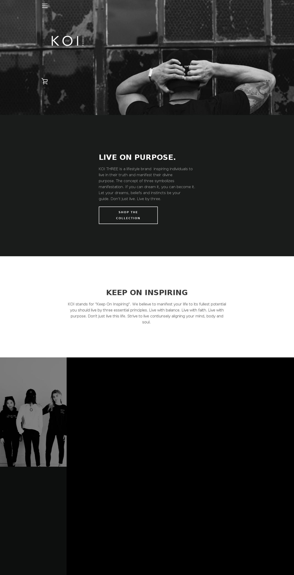 shopkoi3.com — Shopify storefront screenshot