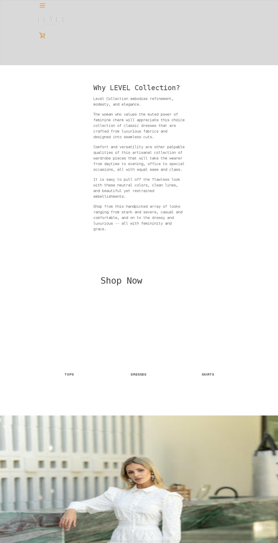 shoplevelcollection.com shopify website screenshot