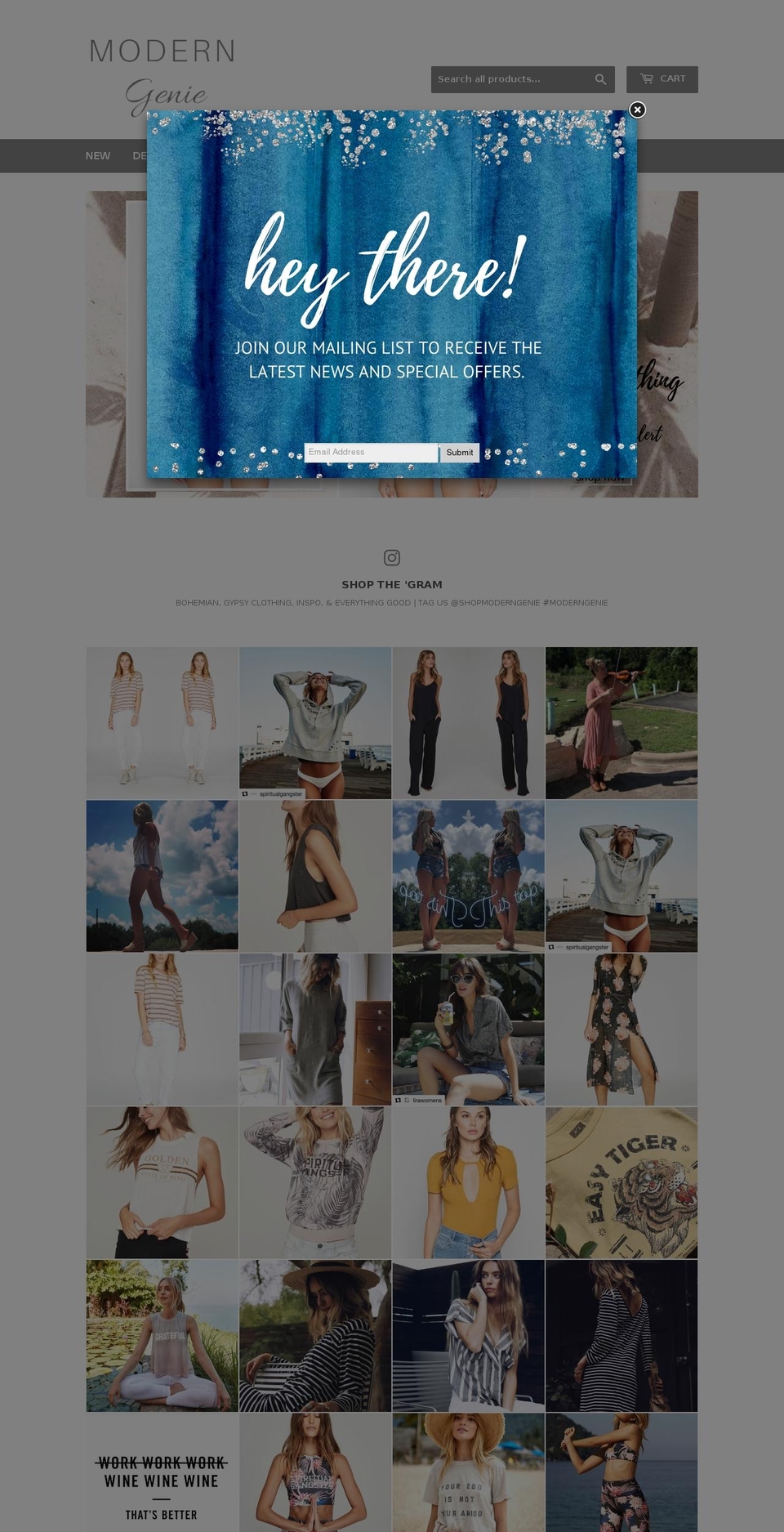 shopmoderngenie.com — Shopify storefront screenshot