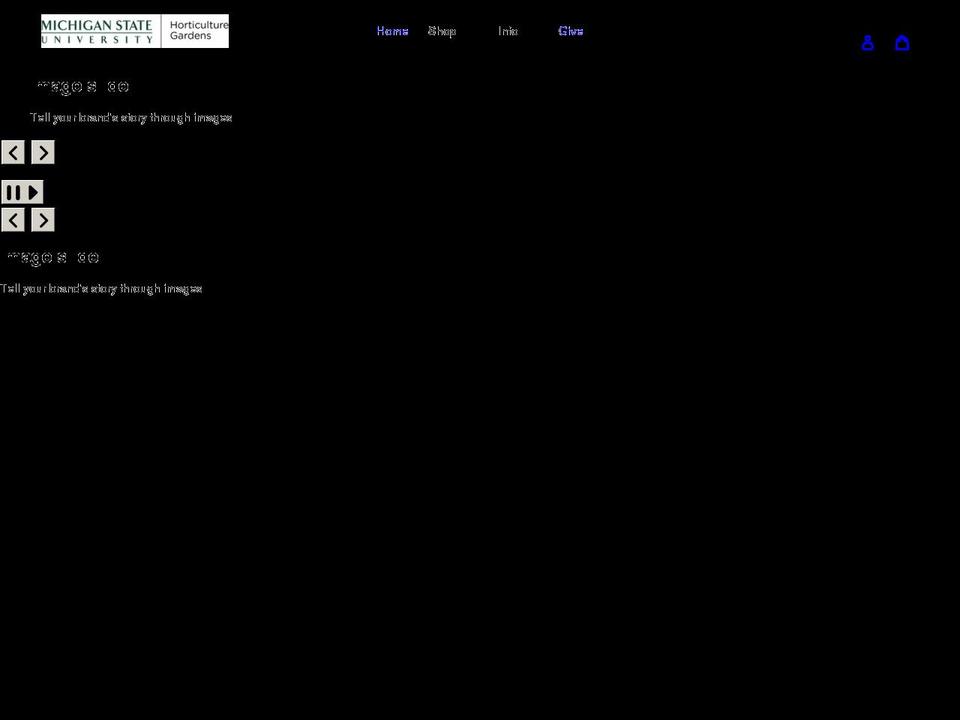 shopmsugardens.com shopify website screenshot