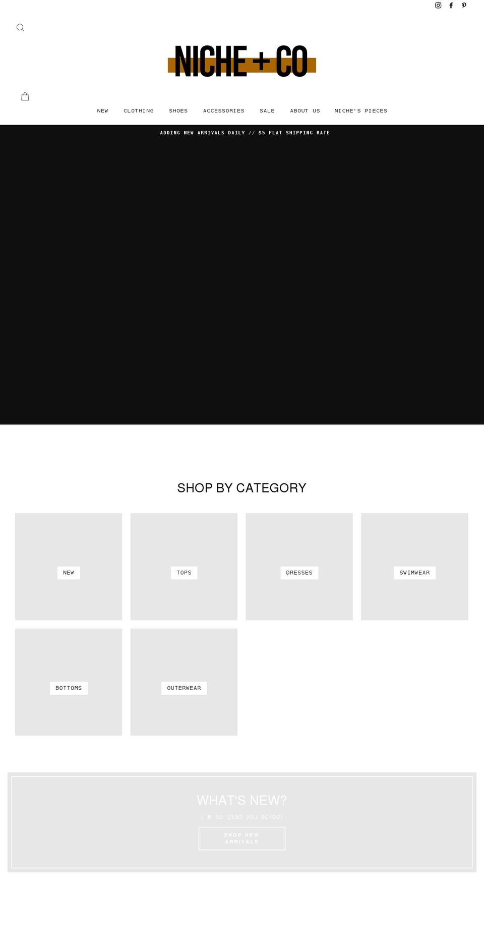 shopnicheonline.com shopify website screenshot
