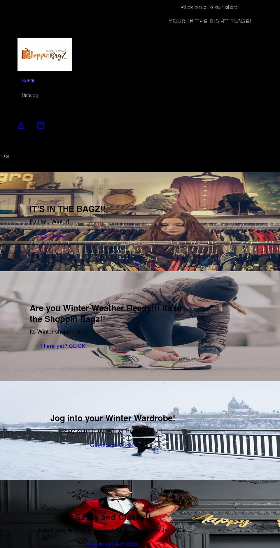 shoppin-bagz.com shopify website screenshot