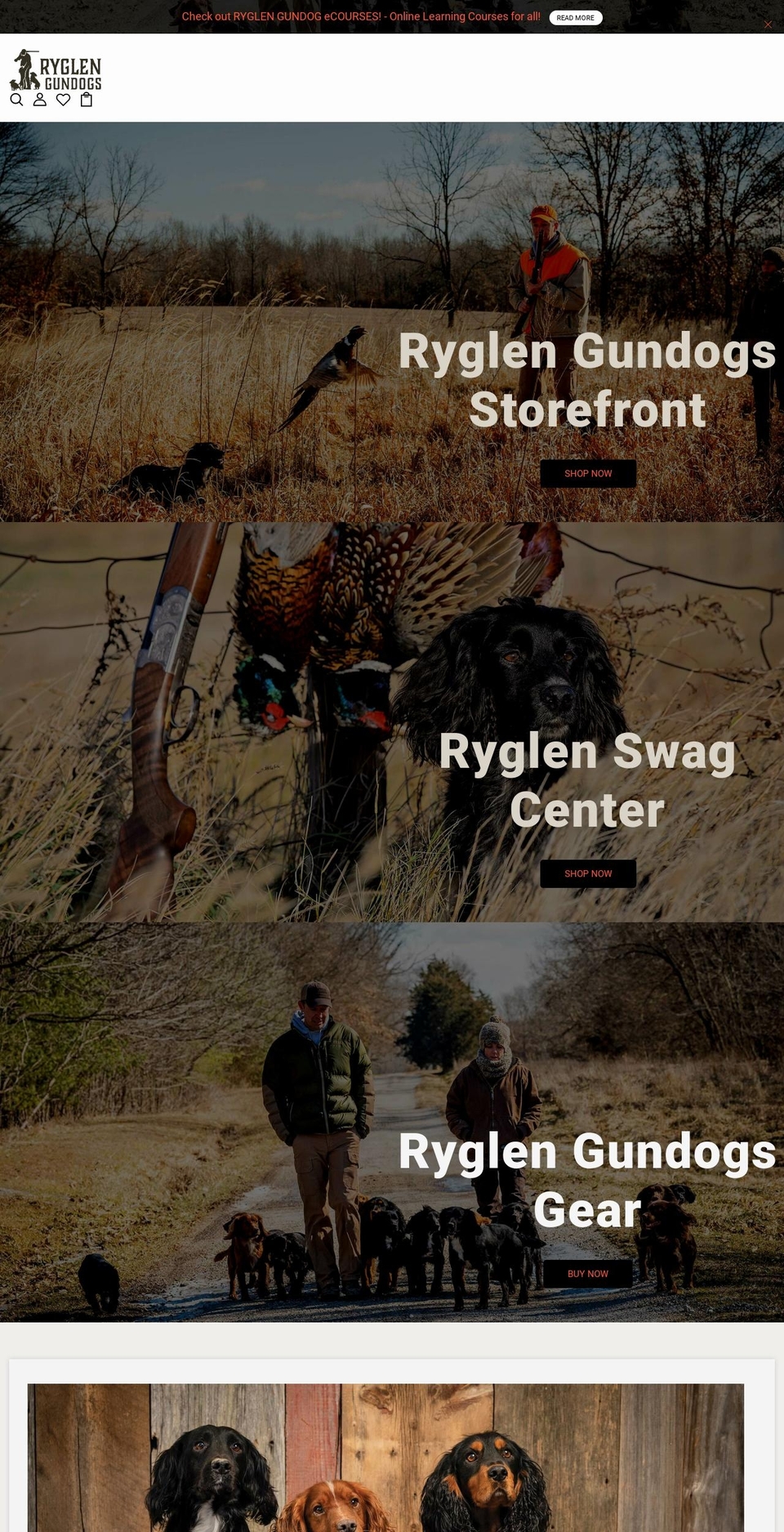 shopryglen.com shopify website screenshot