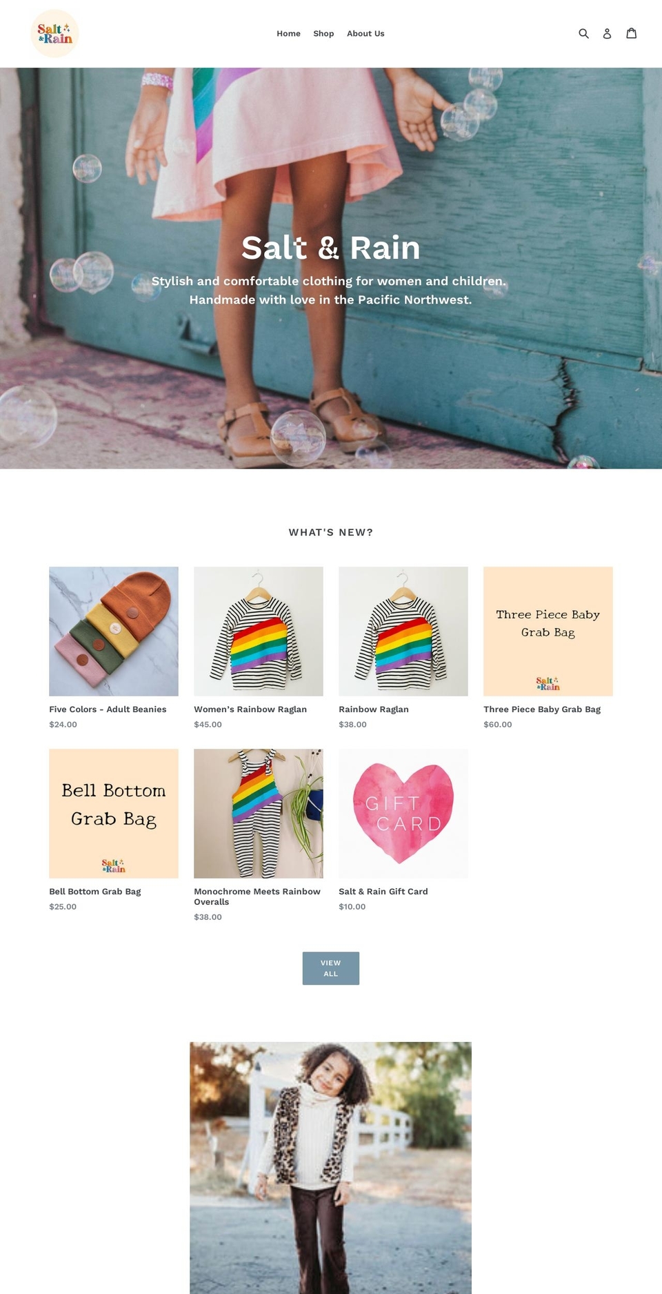 shopsaltandrain.com shopify website screenshot