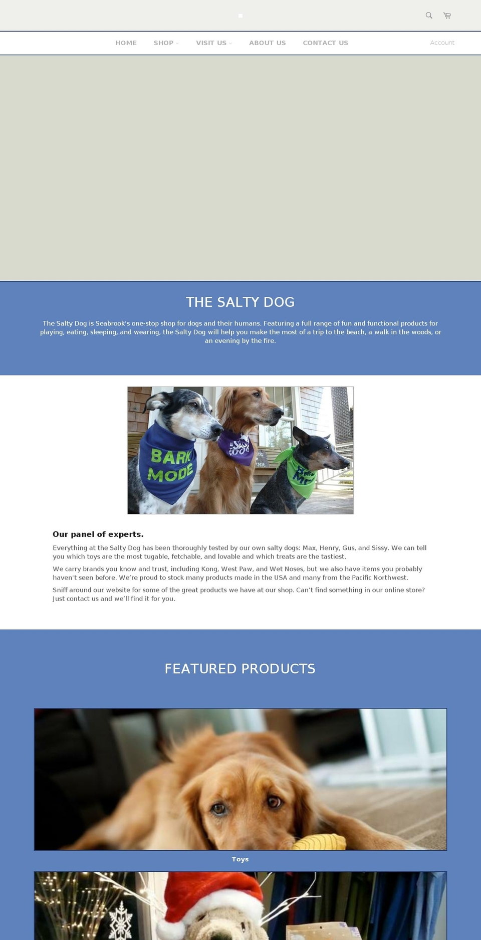 shopsaltydog.com — Shopify storefront screenshot