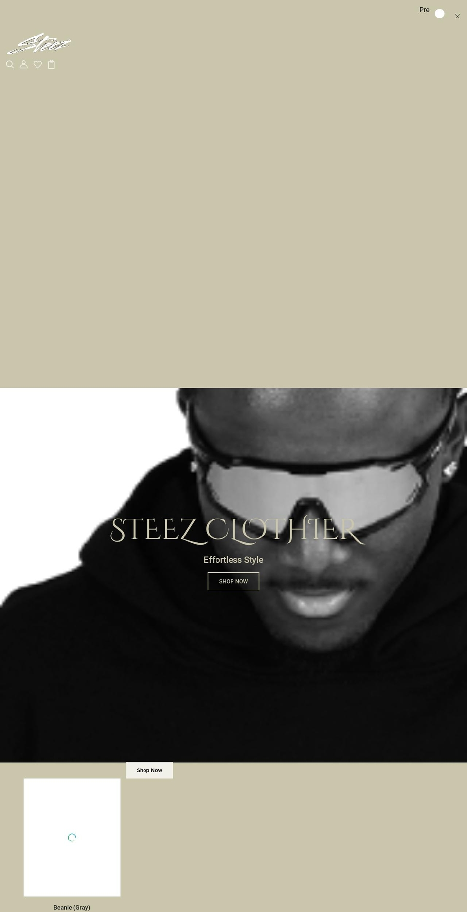 shopsteezwear.com shopify website screenshot
