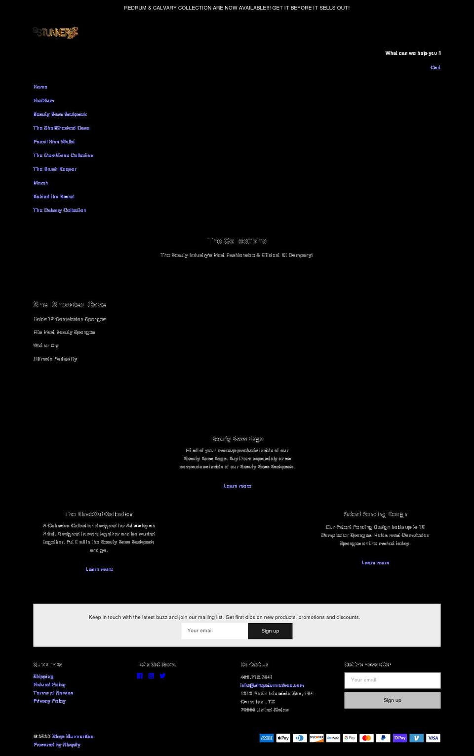 shopstunnerbee.com shopify website screenshot