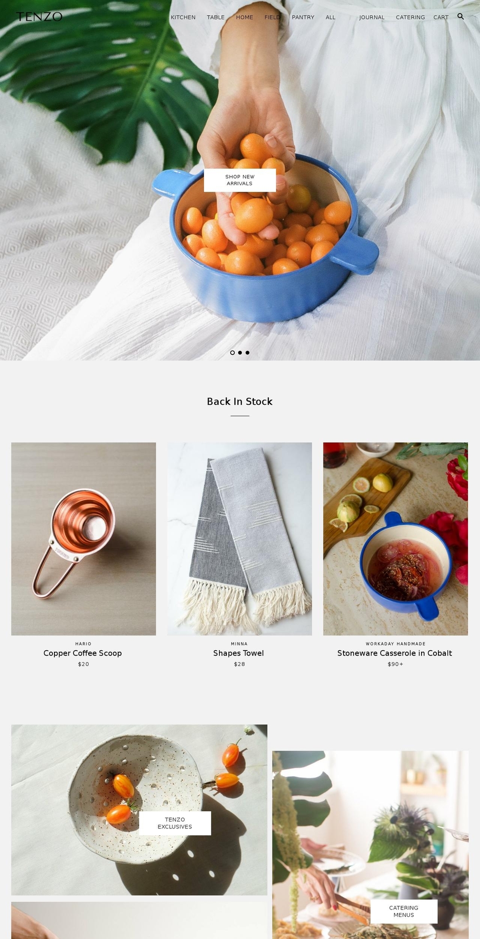 shoptenzo.com shopify website screenshot