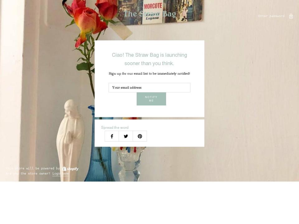 shopthestrawbag.com shopify website screenshot