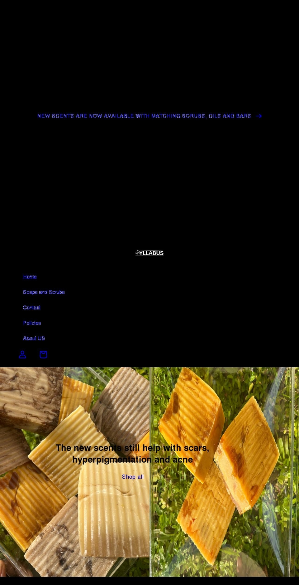 shopthesyllabus.com shopify website screenshot