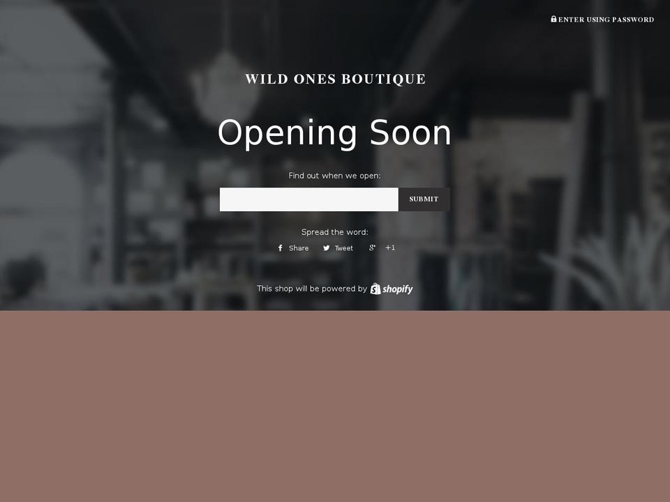 shopwildonesboutique.com shopify website screenshot