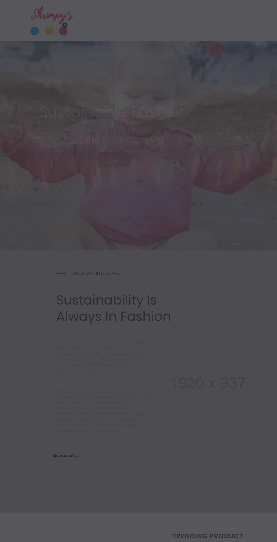 shrimpyslooe.co.uk shopify website screenshot