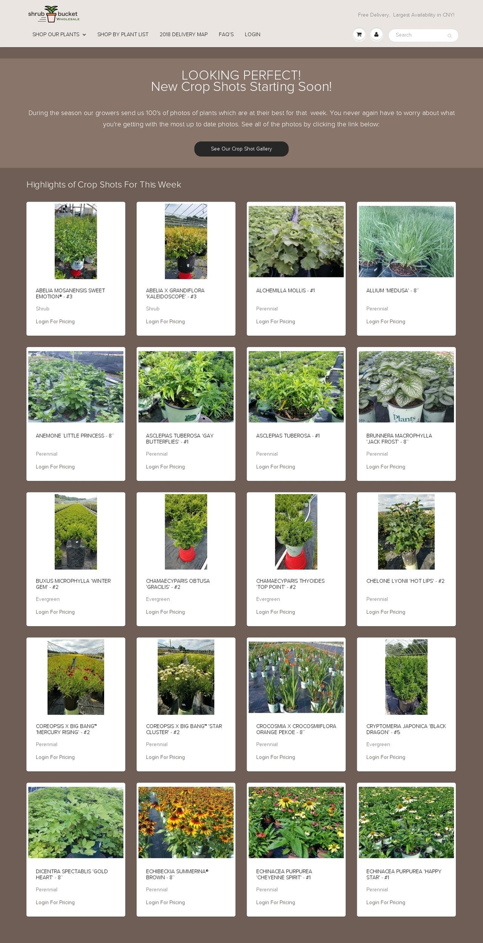 shrubbucketwholesale.com — Shopify storefront screenshot