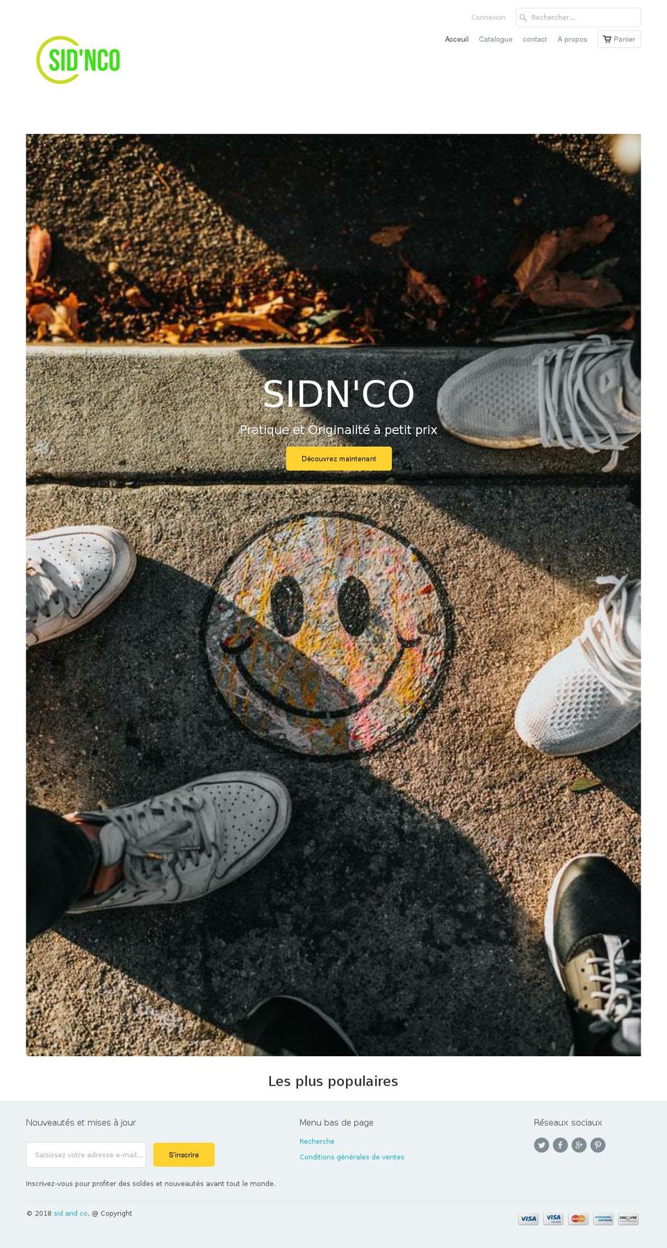 theme-dropshipping-revolution Shopify theme site example sidnco.com