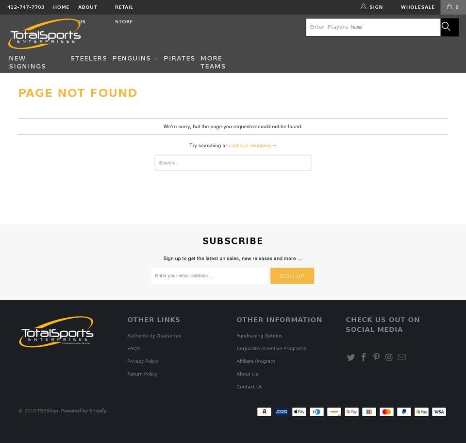 TSE Shoptimized Shopify theme site example signingwiththepens.com